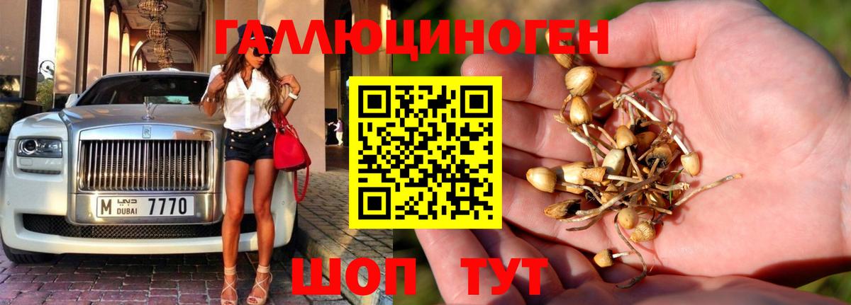 Галлюциногенные грибы ЛСД Михайловка