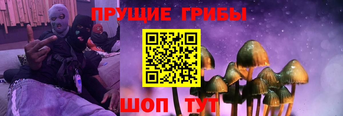 Михайловка  Псилоцибиновые грибы GOLDEN TEACHER  купить наркоту  Вход с VPN  Псилоцибиновые грибы Magic Shrooms 
